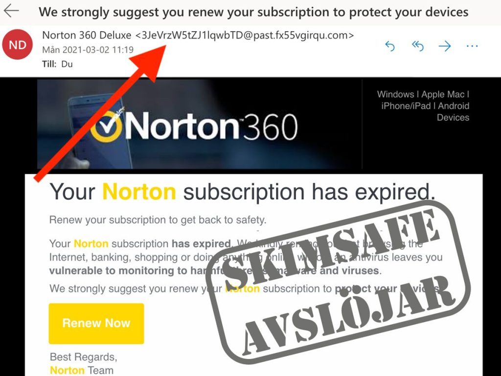 Norton-bluff-email-1-mail_2_website