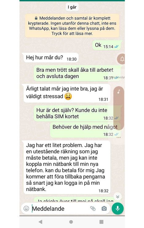 Exempel på hur konversationen kan se ut