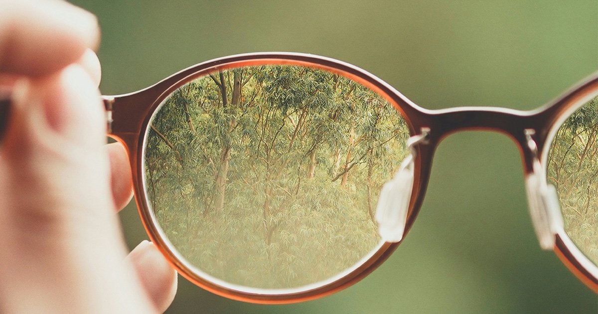 5 bedrägerier i fokus